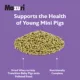 Product Mazuri Mini Pig Youth Food