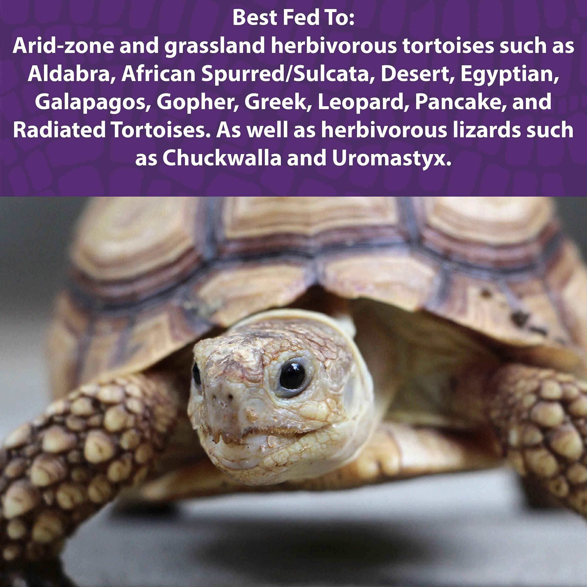 Mazuri Low Starch Tortoise Food - Low Starch Tortoise Diet - 12 oz-25 lb - thumbnail 2