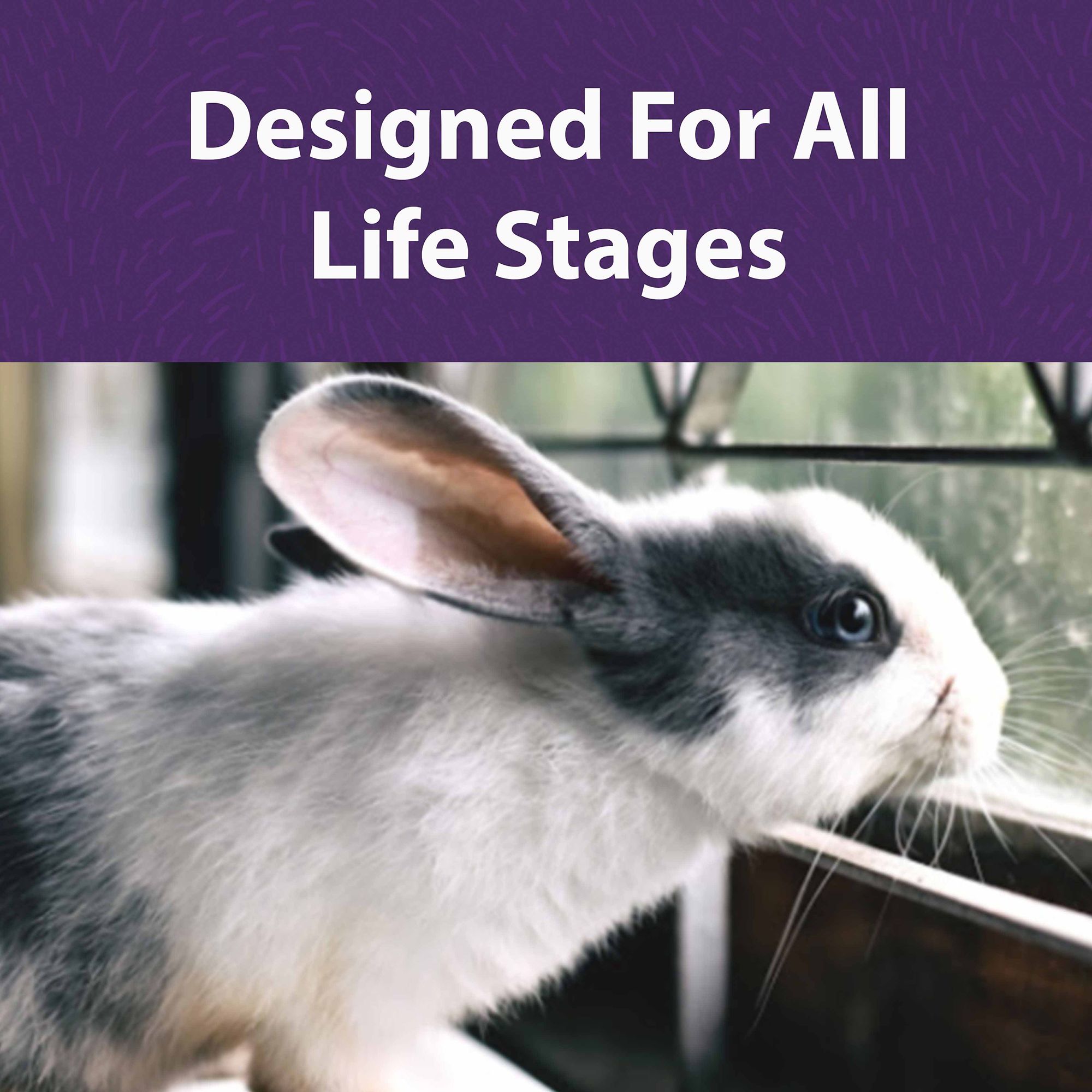 Mazuri Timothy Hay-based Rabbit Diet - thumbnail 3