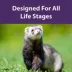 Mazuri Ferret Diet image thumbnail 3