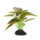 Product Thrive Leafy Green Plant