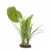  Thrive Canopy Plant image thumbnail 2