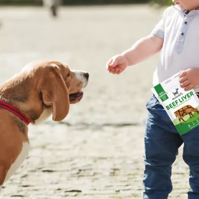 Product McLovin's Pet Premium Dog Treats - Freeze-Dried Raw, Beef Liver