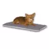 K&H Pet Products Thermo-Pet Heated Pet Mat image thumbnail 1