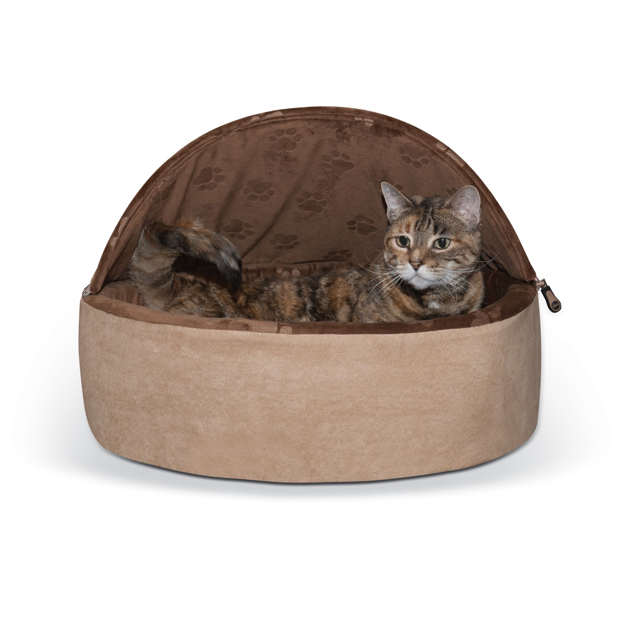 Heated cat clearance beds petsmart