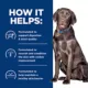 Product Hill's Prescription Diet d/d Food Sensitivities Potato & Venison All Life Stages Wet Dog Food -13 oz