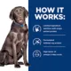 Product Hill's Prescription Diet d/d Food Sensitivities Potato & Venison All Life Stages Wet Dog Food -13 oz