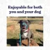 Mad Dog Products English Slip Leash 8 FT X 1/2 IN image thumbnail 2