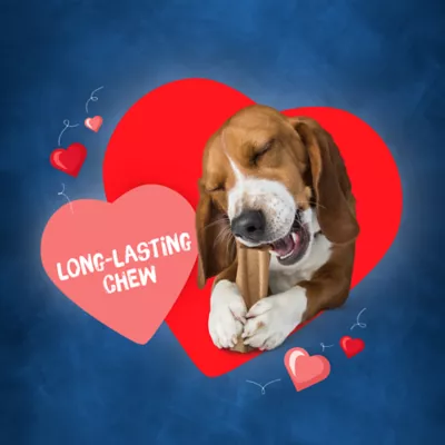 Product Purina Busy Bone Original Long Lasting Chew 2 CT 7 OZ