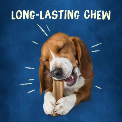 Product Purina Busy Bone Original Long Lasting Chew 2 CT 7 OZ