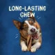 Product Purina Busy Bone Beggin' Twist Long Lasting Chew 2 CT 7 OZ
