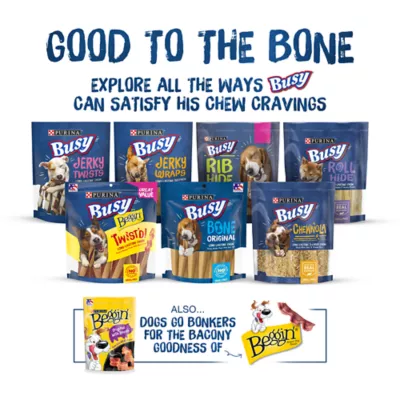 Product Purina Busy Bone Peanut Butter Long Lasting Chew 2 CT 7 OZ