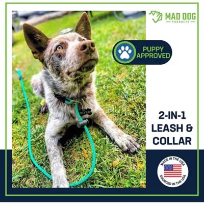 Mad Dog Products English Slip Leash 10 FT X 1/4 IN - Image 2