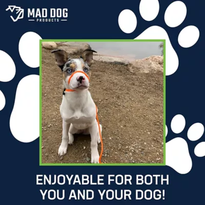 Mad Dog Products English Slip Leash 10 FT X 1/4 IN - Image 3