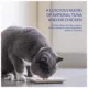 Product Inaba Churu Adult Lickable Cat Treat Bisque - Chicken