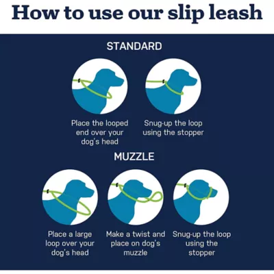 Product Mad Dog Products English Slip Leash 10 FT X 1/4 IN