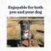 Mad Dog Products English Slip Leash 10 FT X 1/2 IN image thumbnail 2