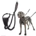 Halti No Pull Harness image thumbnail 1