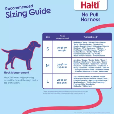 Product Halti No Pull Harness
