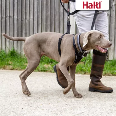 Product Halti No Pull Harness