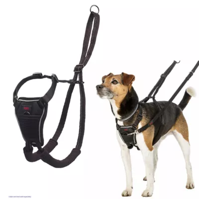 Halti No Pull Harness Dog