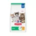 Hill's Science Diet Kitten Chicken Recipe Dry Cat Food 3.17 kg Bag image thumbnail 1