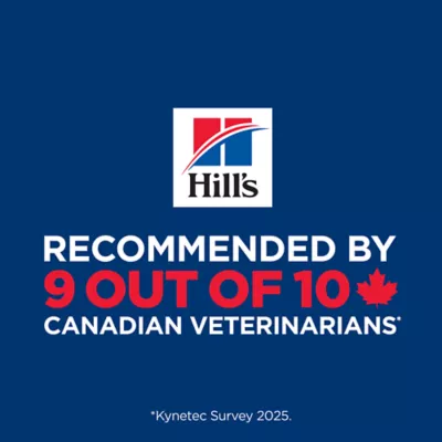 Hill's Science Diet Kitten Chicken Recipe Dry Cat Food 3.17 kg Bag - Image 9