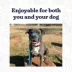 Mad Dog Products English Slip Leash 10 FT X 1/2 IN image thumbnail 2