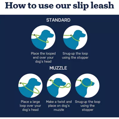 Mad Dog Products English Slip Leash 10 FT X 1/2 IN - Image 3