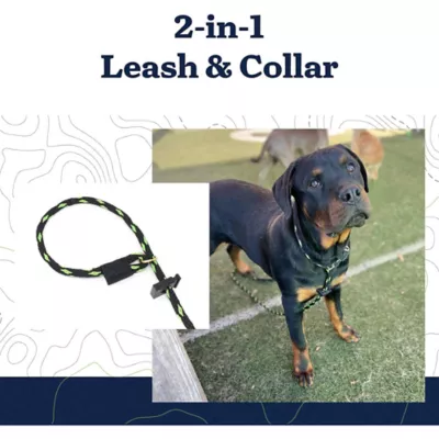 Mad Dog Products English Slip Leash 4 FT X 3/8 IN - Image 4