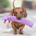 Multipet Loofa Dog The Original Squeaky Plush Dog Toy 12 IN image thumbnail 2