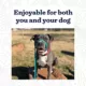 Product Mad Dog Products English Slip Leash 8 FT X 3/8 IN