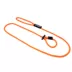 Mad Dog Products English Slip Leash 10 FT X 3/8 IN image thumbnail 1