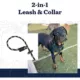Product Mad Dog Products English Slip Leash 8 FT X 3/8 IN