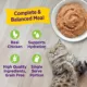 Product Wellness Appetizing Entrees Adult Cat Food - Mousse, 1.4 oz