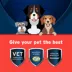 Pet Protect from the Makers of Advantage Vet-Formulated Hip & Joint Supplement for Dogs - 120 Chews image thumbnail 3