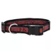 Pets First Tampa Bay Buccaneers Satin Dog Collar image thumbnail 1