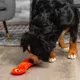 Product Outward Hound Xtreme Seamz Snake Squeaky Plush Dog Toy