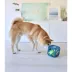 Outward Hound Puzzle Cube Interactive Squeaky Dog Toy image thumbnail 6