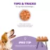 Nina Ottosson by Outward Hound Dog Smart Composite Dog Toy image thumbnail 4