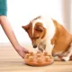 Product Nina Ottosson by Outward Hound Dog Smart Composite Dog Toy