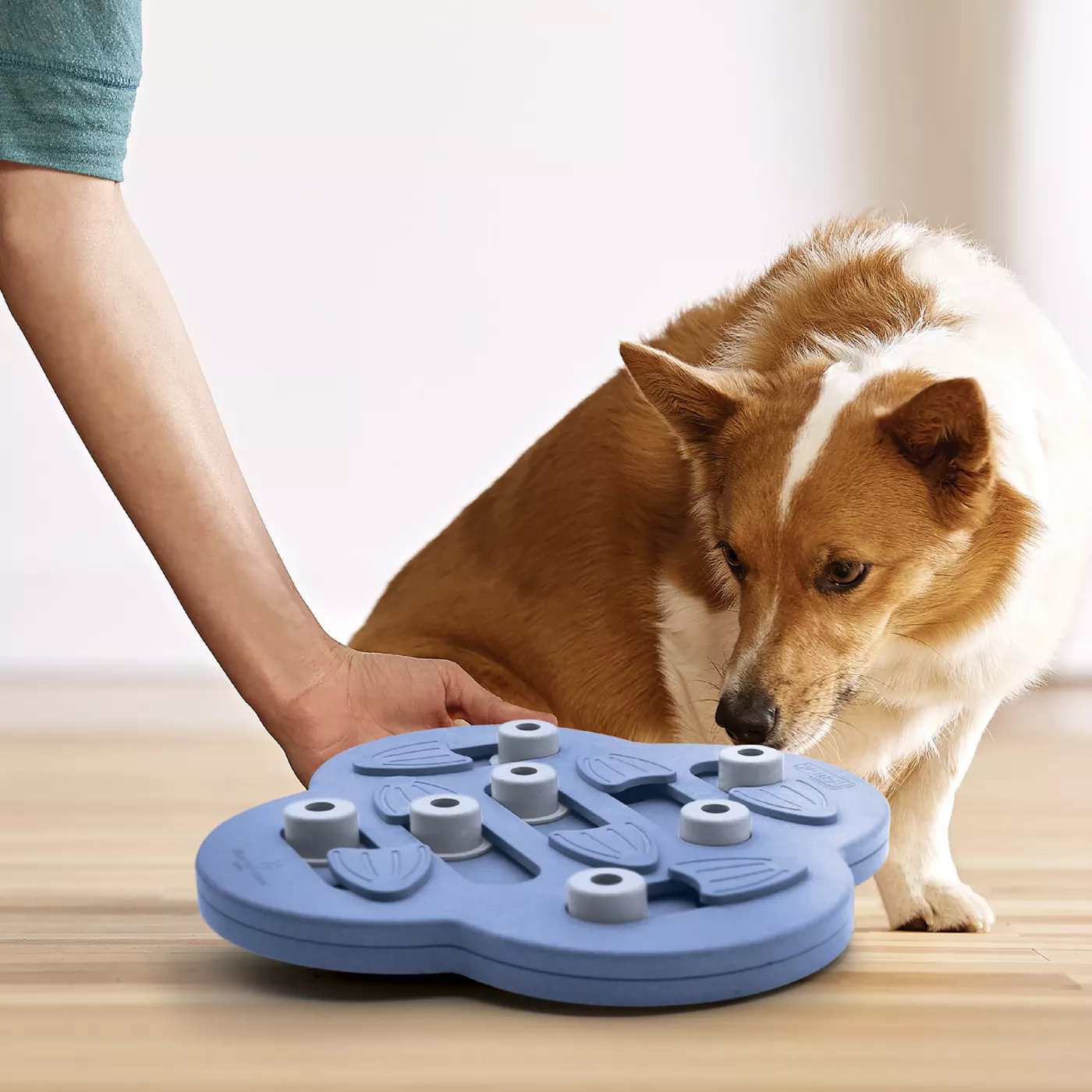 Outward Hound Nina Ottosson Puppy Hide N Slide Interactive Treat Puzzle Dog Toy