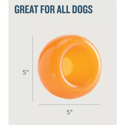 Product Planet Dog Orbee-Tuff Snoop Treat Dispensing Tough Dog Chew Toy