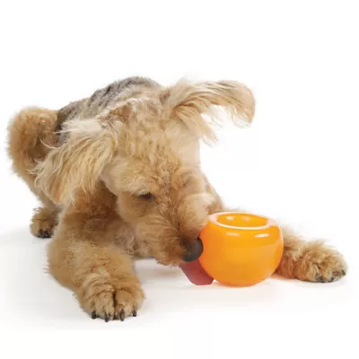Product Planet Dog Orbee-Tuff Snoop Treat Dispensing Tough Dog Chew Toy