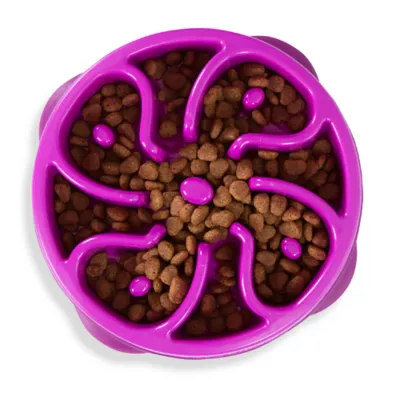 Product Outward Hound Fun Slow Feeder Dog Bowl