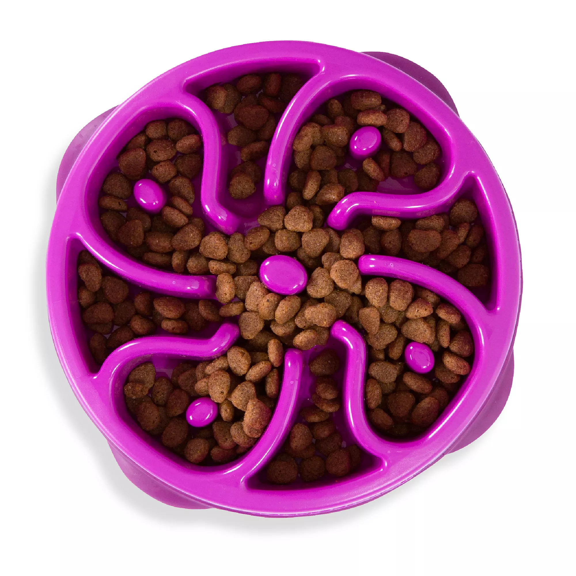 Outward Hound Fun Slow Feeder Dog Bowl