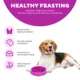 Product Outward Hound Fun Slow Feeder Dog Bowl