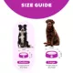 Product Outward Hound Fun Slow Feeder Dog Bowl
