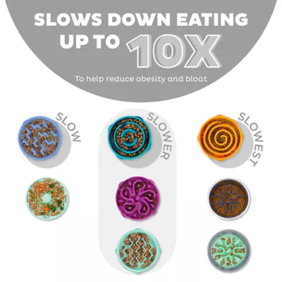 Product Outward Hound Fun Slow Feeder Dog Bowl