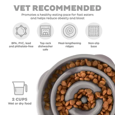 Product Outward Hound Fun Slow Feeder Dog Bowl